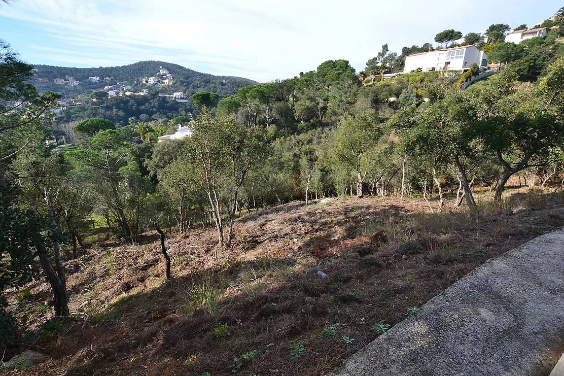 Terrain avec vue fantastique sur la montagne