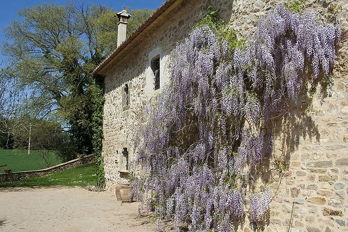 BIJOU RUSTIQUE - ENSEMBLE DE MAS ET TROIS GRANGES À VILADESENS!