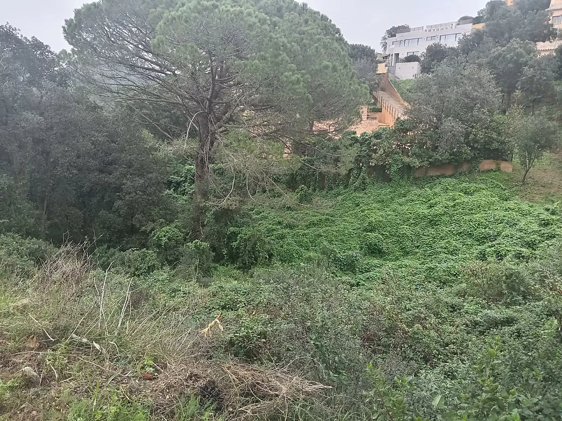 Unique Opportunity in Residencial Begur: 932m  Plot to Build the Home of Your Dreams