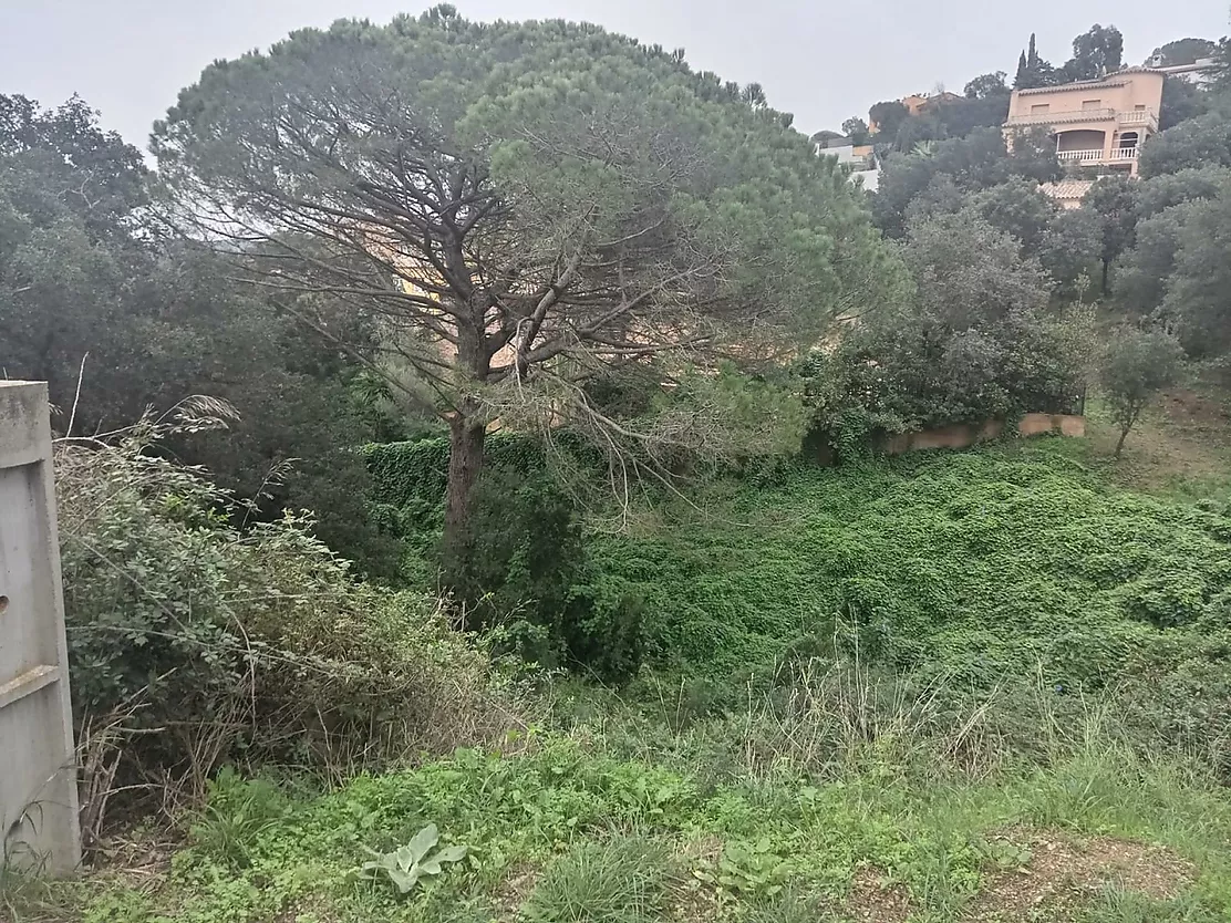 Unique Opportunity in Residencial Begur: 932m  Plot to Build the Home of Your Dreams